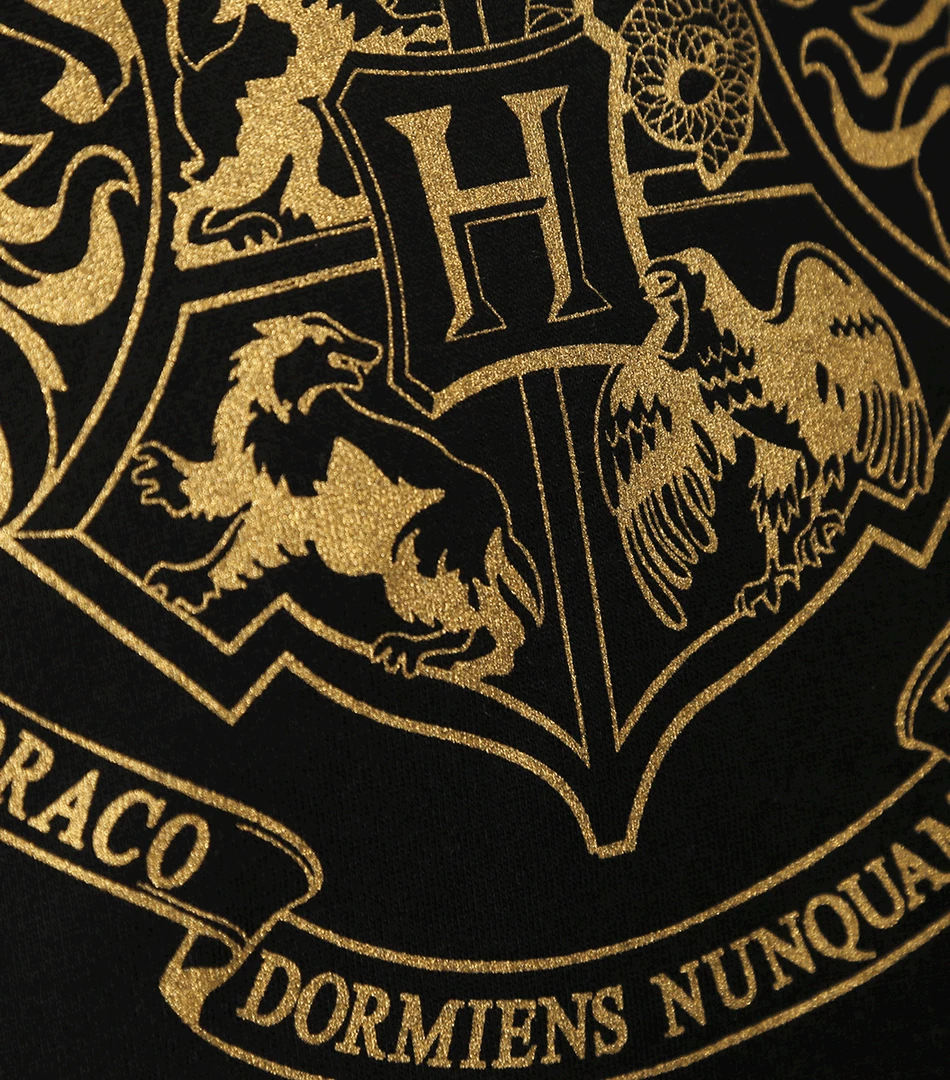 Warner Bros Hogwarts Gold Crest Hooded Jumper