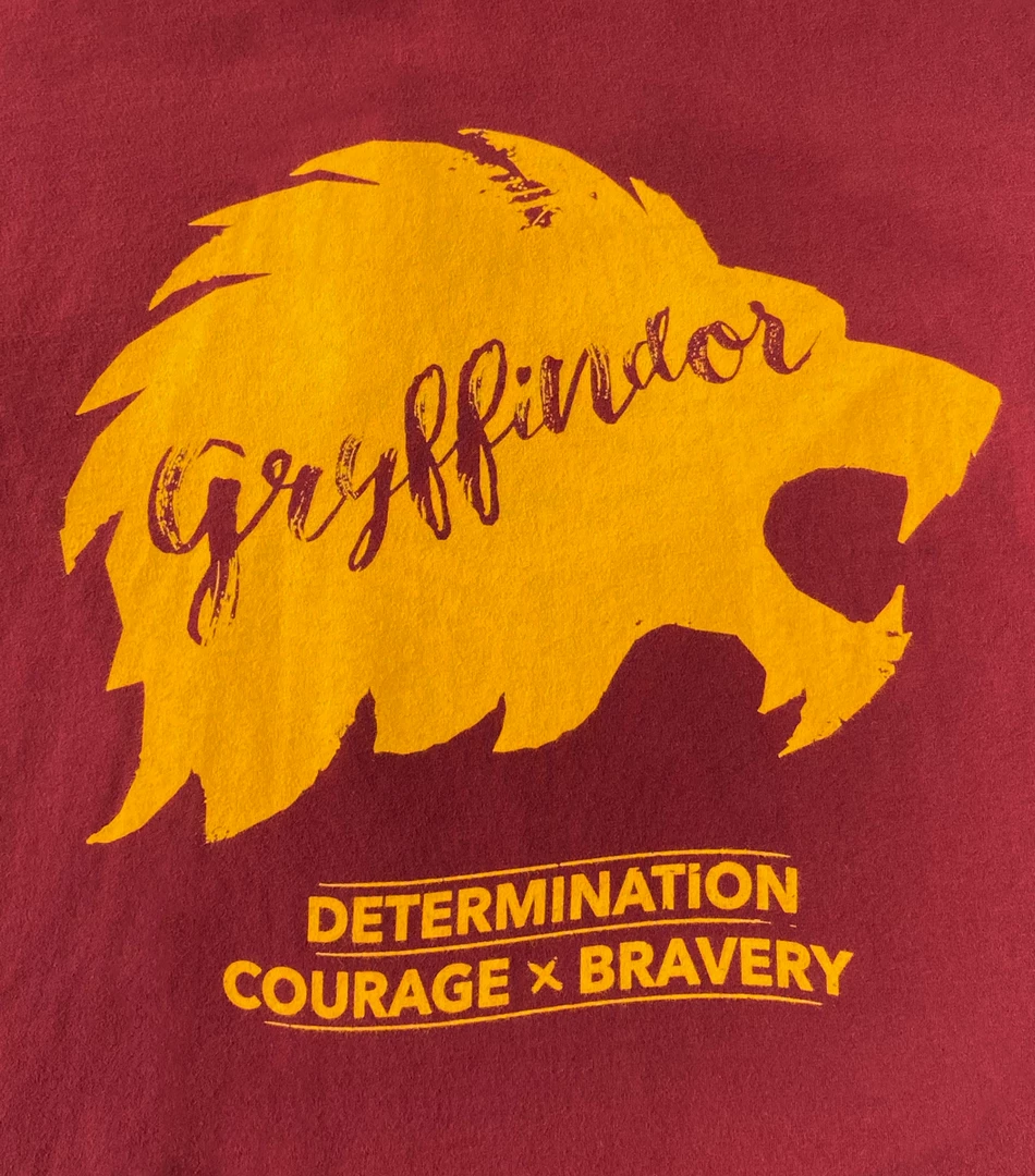 Warner Bros Best Sellers Gryffindor Unisex Pyjama Set