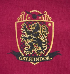 Warner Bros Gryffindor Adult Spirit Jersey Best Sellers