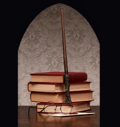 Warner Bros Harry Potter's Wooden Wand Best Sellers