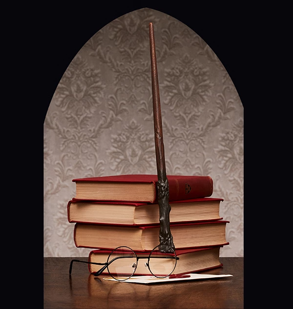 Warner Bros Harry Potter's Wooden Wand Best Sellers