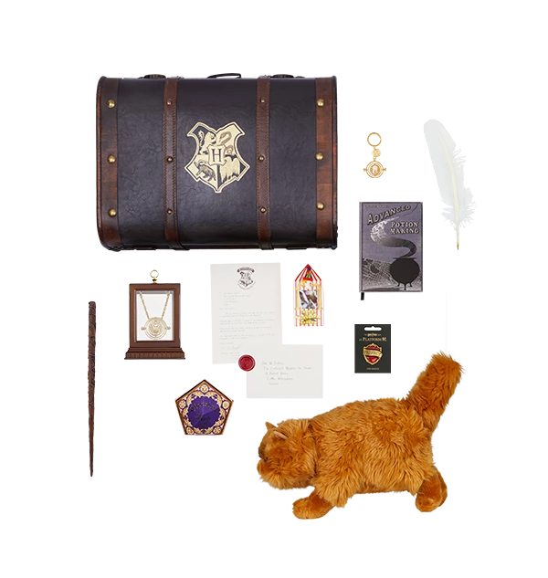 Warner Bros Hermione Granger Gift Trunk