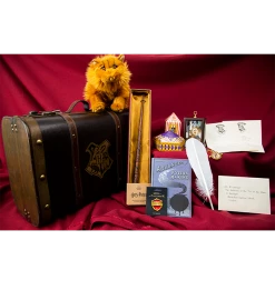 Warner Bros Hermione Granger Gift Trunk