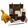 Warner Bros Hermione Granger Gift Trunk
