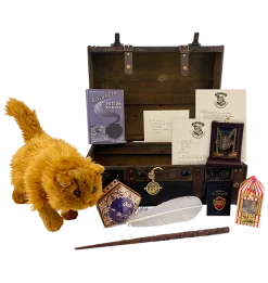 Warner Bros Hermione Granger Gift Trunk