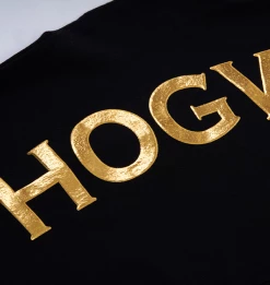 Warner Bros Hogwarts Adult Spirit Jersey