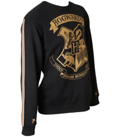 Warner Bros Hogwarts Striped Sleeve Sweatshirt