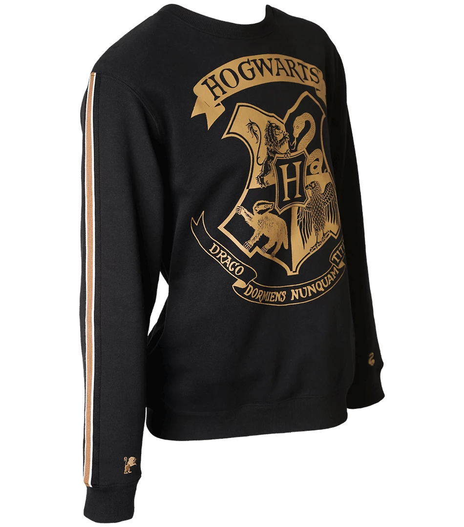 Warner Bros Hogwarts Striped Sleeve Sweatshirt