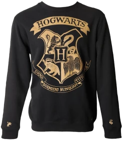 Warner Bros Hogwarts Striped Sleeve Sweatshirt