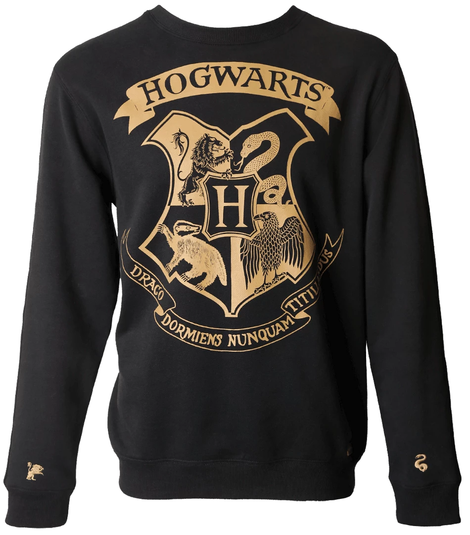 Warner Bros Hogwarts Striped Sleeve Sweatshirt