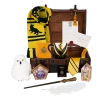 Warner Bros Hufflepuff Gift Trunk