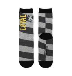 Warner Bros Hufflepuff House 3-Pack Socks