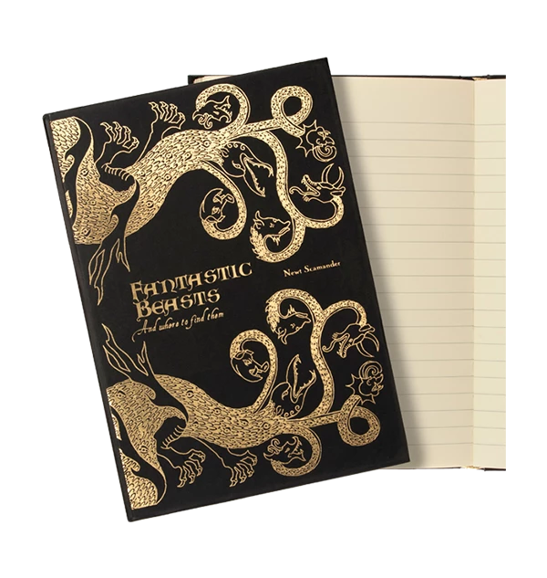 Warner Bros Fantastic Beasts & Where To Find Them Journal Best Sellers