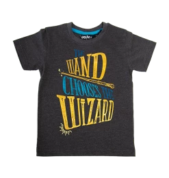 Warner Bros Kids Wand Chooses The Wizard T-Shirt