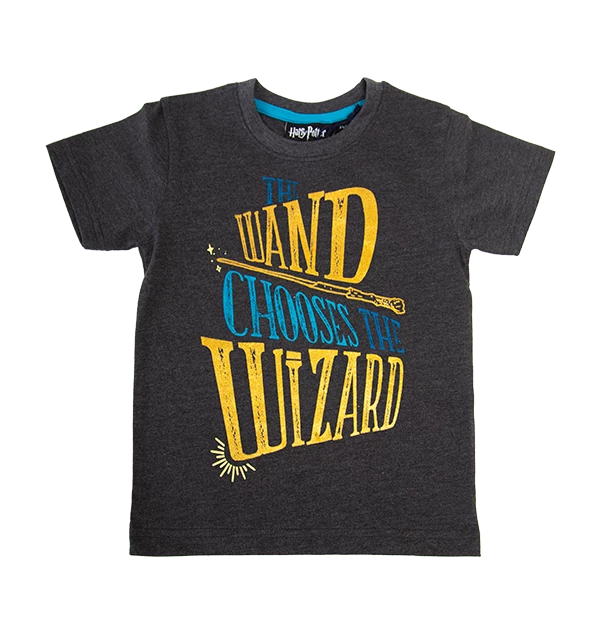 Warner Bros Kids Wand Chooses The Wizard T-Shirt