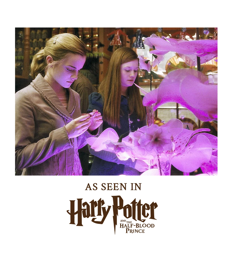 Warner Bros Collectables Love Potion Pendant With Display