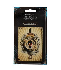 Warner Bros Muggle Worthy Magnet