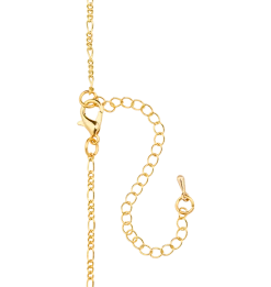 Warner Bros Exclusives Chocolate Frog Pendant Necklace