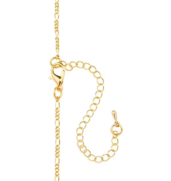 Warner Bros Exclusives Chocolate Frog Pendant Necklace