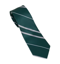 Warner Bros Slytherin House Tie