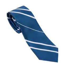 Warner Bros Ravenclaw House Tie Best Sellers