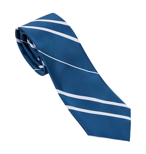 Warner Bros Ravenclaw House Tie Best Sellers