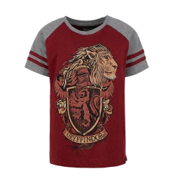 Warner Bros Gryffindor Kids T-Shirt