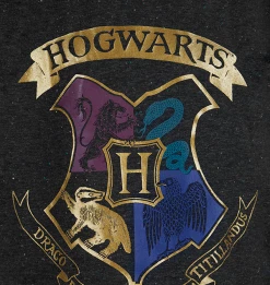 Warner Bros Hogwarts Kids Pyjama Set Best Sellers