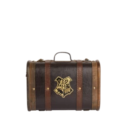 Warner Bros Hogwarts Trunks Hogwarts School Trunk Combo Bundle