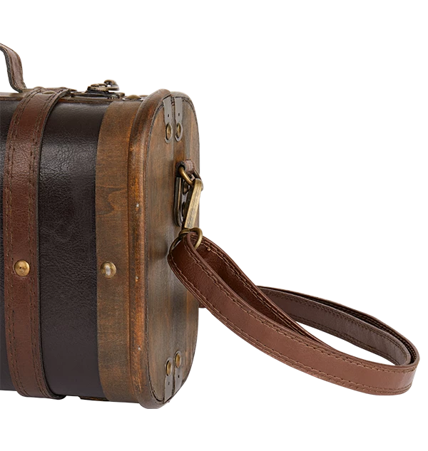 Warner Bros Mini Hogwarts School Trunk Exclusives