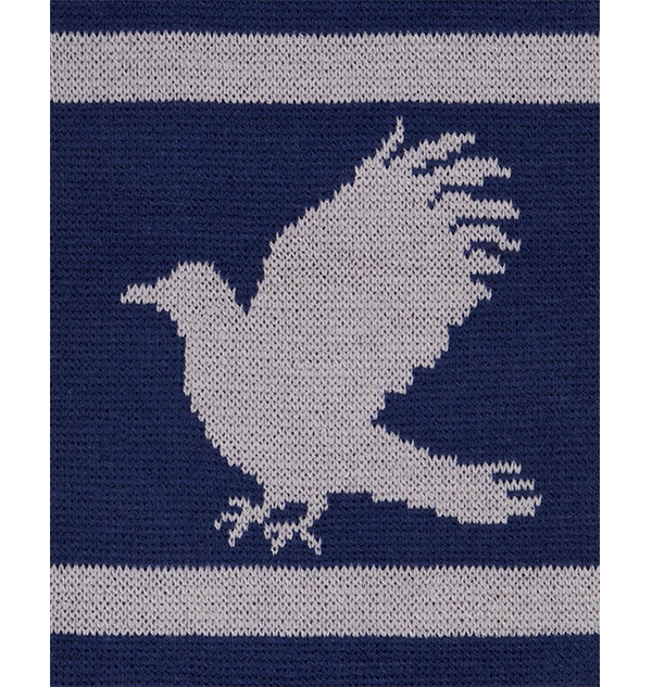 Warner Bros Ravenclaw Reversible Knit Scarf
