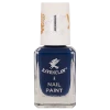 Warner Bros Ravenclaw Nail Varnish