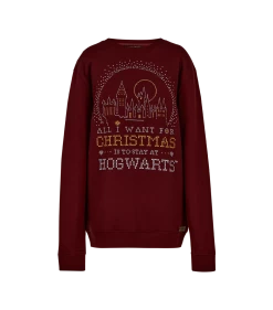 Warner Bros Best Sellers Hogwarts Christmas Sweatshirt