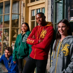 Warner Bros Best Sellers Slytherin Hooded Sweatshirt