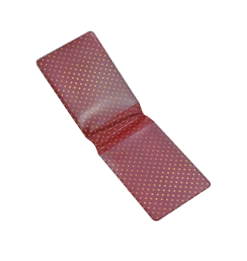 Warner Bros Diagon Alley Travel Card Holder MinaLima