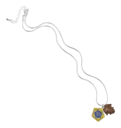 Warner Bros Chocolate Frog Charm Necklace