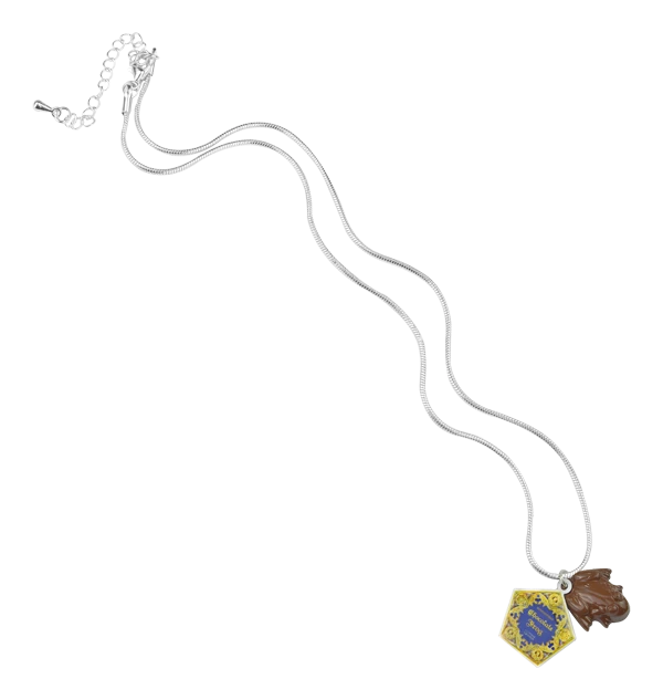 Warner Bros Chocolate Frog Charm Necklace