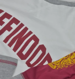 Warner Bros Gryffindor Ladies Raglan Shirt