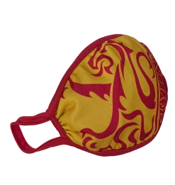 Warner Bros Gryffindor Face Covering Best Sellers