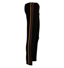 Warner Bros Best Sellers Hogwarts House Athletic Leggings