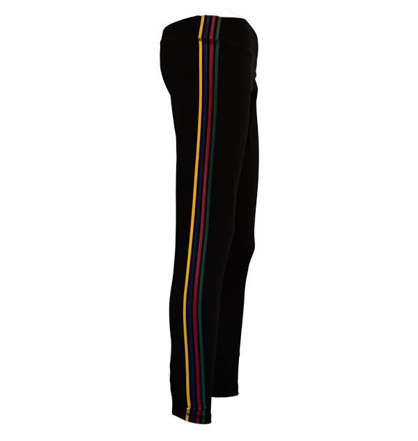 Warner Bros Best Sellers Hogwarts House Athletic Leggings