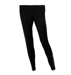 Warner Bros Best Sellers Hogwarts House Athletic Leggings