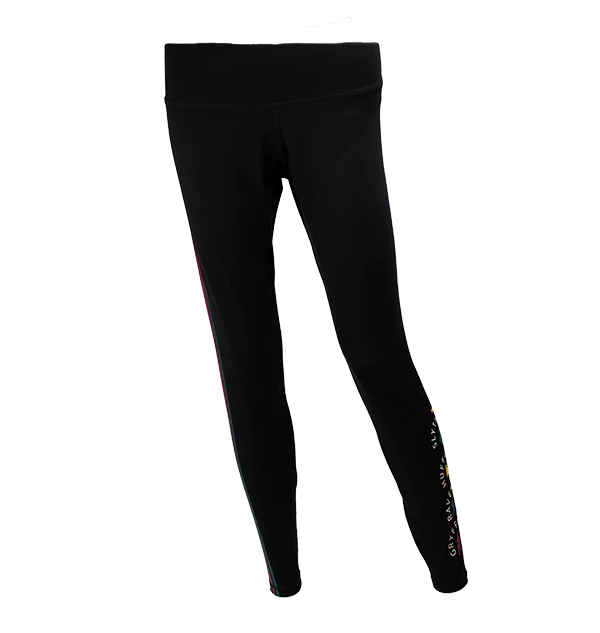 Warner Bros Best Sellers Hogwarts House Athletic Leggings