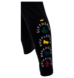 Warner Bros Best Sellers Hogwarts House Athletic Leggings