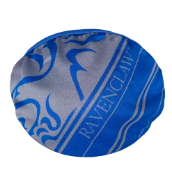 Warner Bros Ravenclaw Face Covering