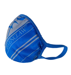 Warner Bros Ravenclaw Face Covering