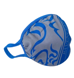 Warner Bros Ravenclaw Face Covering