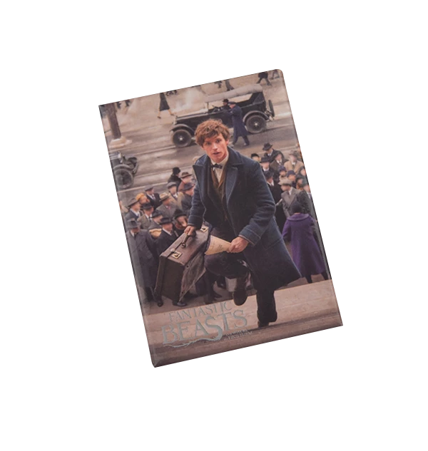 Warner Bros Newt Scamander Photo Magnet