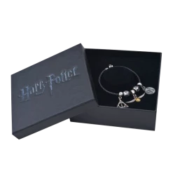 Warner Bros Harry Potter Charm Bracelet Set