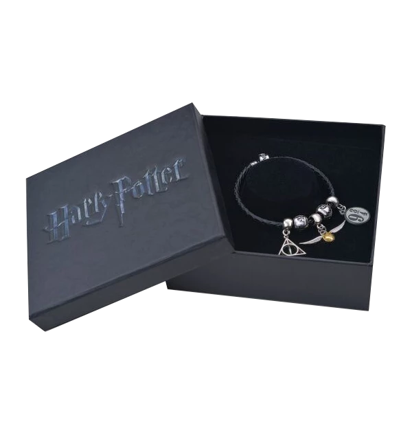 Warner Bros Harry Potter Charm Bracelet Set